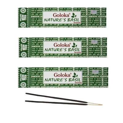 Goloka bazsalikom