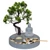Zen kert bonsai fával